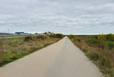 Teren extravilan Chitila/Mogosoia 15895mp Teren extravilan Chitila/Mogosoia 15895mp - 3