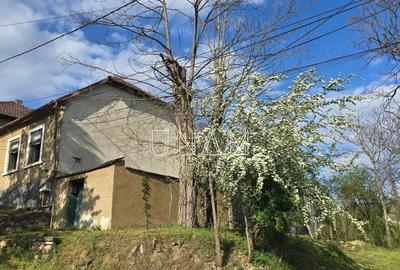 Casă cu Teren 540 Mp în Muncitoresc - 4