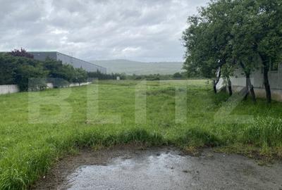 Teren intravilan/extravilan de vanzare, in suprafata de 3000 - 1