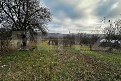 Casă cu 3 camere cu Teren 2792 Mp în Primăverii - 1