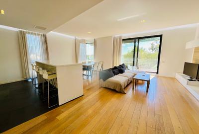 Inchiriere Apartament 5 camere 214mp Aviatiei - 10