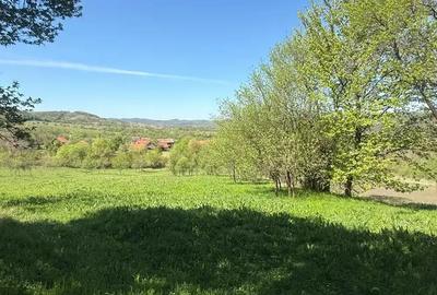 Casă cu 3 camere în Teiu - 4