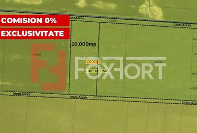 COMISION 0% Teren extravilan pretabil agricol, Sacalaz - Oportunitate investitie - 1