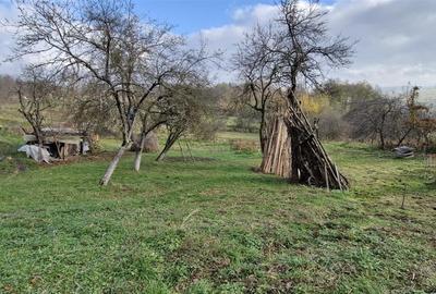 RECO Teren intravilan in Borod, Bihor 1750mp - 8