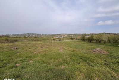 Spațiu comercial, în Paleu - 2