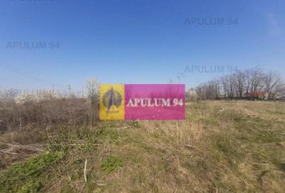 Teren de 4800 mp, în Glina - 13