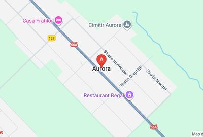 Casă cu 5 camere cu Teren 3000 Mp în Aurora - 1