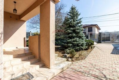 Casă cu 5 camere cu Teren 1097 Mp în Mogoșoaia - 3