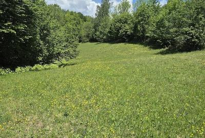 Teren de 1700 mp, în Ponor - 2