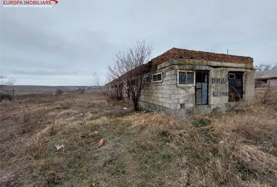 Teren de 6300 mp, în Babadag - 3