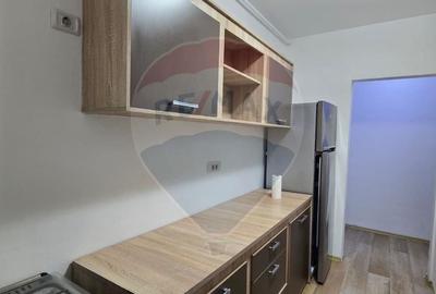 Apartament cu 2 camere de inchiriat Vivalia  zona Aurel Vlaicu - 18