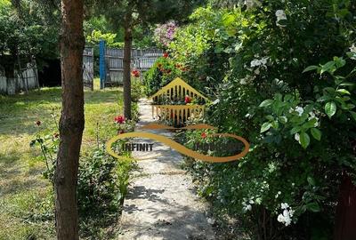 Casa batraneasca cu 2ha de teren de vanzare in sat Balaia / Bacau - 24