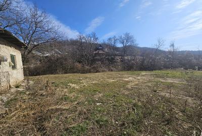 Teren Construcții intravilan de 690 mp, în Ștefănești - 4