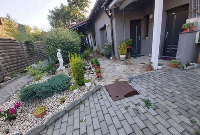 De vanzare 349900 euro casa cu 2 apart. in centru istoric Timisoara - 2