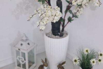 Casă cu 4 camere cu Teren 436 Mp în Domnești - 10