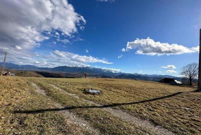 TEREN INTRAVILAN SIRNEA/ 4000 MP/ - 5