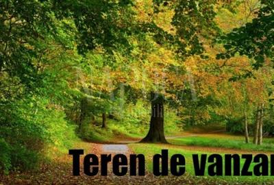 Teren Construcții intravilan de 1044 mp, în Făget - 1