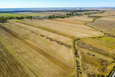 Terenuri industriale cu deschidere la A1, km 64 – Jugureni, Dambovita - 13