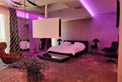 Penthouse cu 5 camere decomandat în Herăstrău - 15