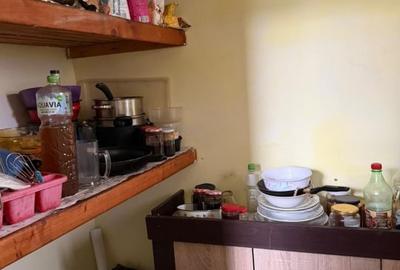 Apartament la casa,cu o camera,parcare,gradina - 4