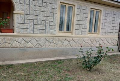 Casă cu 4 camere în Smârdan - 8