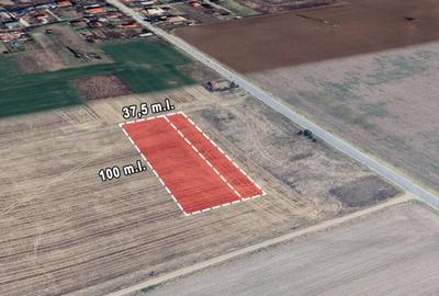 Teren de 3750 mp, în Brănești