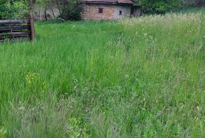 Casă cu 3 camere cu Teren 2913 Mp în Măhăceni