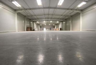 Hala complet echipata, nou construita langa aeroportul interna?ional Traian Vuia - 2