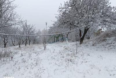 Casă cu 4 camere cu Teren 4863 Mp în Coșna - 11