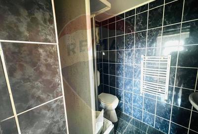 Casă P+E+M cu spălătorie auto și restaurant la DN 7 în LIPOVA - 18