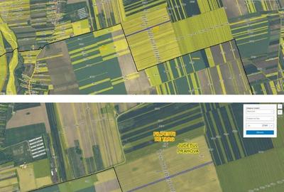 Spațiu comercial, în Mărginenii de Jos - 6