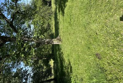 Vand casa de caramida sat Bodesti -comuna Halmagiu Arad Vand casa de caramida sat Bodesti -comuna Halmagiu Arad - 7