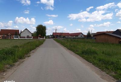 Teren de 50000 mp, în Prejmer - 3