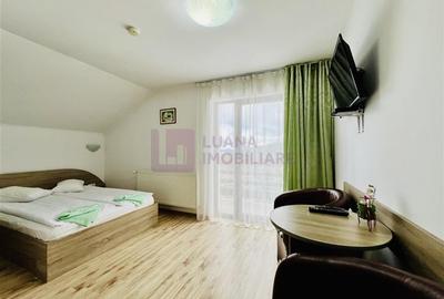 Afacere la cheie | Vila de 3 stele | Paltinis | amenajata complet - 7