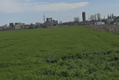 Teren de 100000 mp, în Eforie - 13