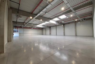 Spațiu industrial, 905 mp în Aeroport