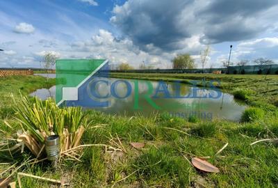 Front generos! Padurea Bistra! Ghiroda - 1