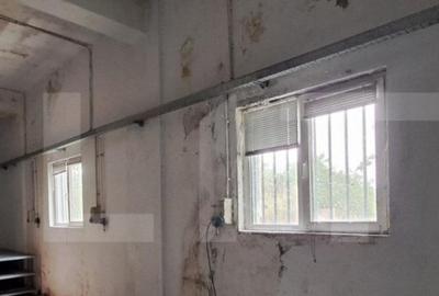 Teren de 19840 mp, în Cernele - 30