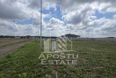 Teren Ghiroda cartier Bistra - toate utilitatile - 3