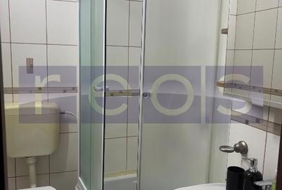 Apartament cu 4 camere semidecomandat în Tineretului - 8