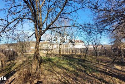 Casă cu 4 camere în Bulbuceni - 10