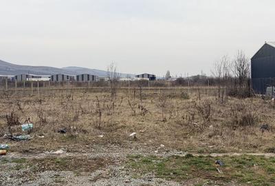 Spațiu comercial, în Bărăbanț - 3