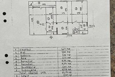 Apartament cu 3 camere decomandat, mobilat în Pajura - 9