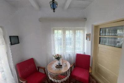 Casa batraneasca bine intretinuta in Bahna - 2