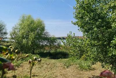 Vand teren pe malul lacului de la Pischia. Un front la lac altul la 30m de padure - 6