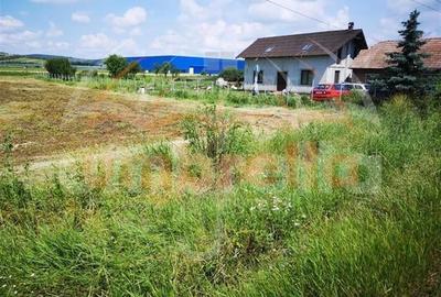 Teren de vanzare in Fundatura, front la DN 1C, 1400/?  ! - 3