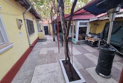 Viile noi-casa la sol cu garaj - 4