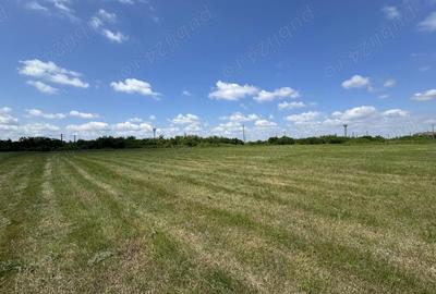 Teren de 888 mp, în Torontalului - 1