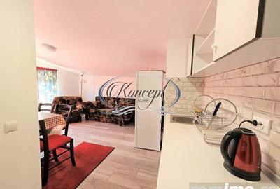 Apartament cu 7 dormitoare , 250 mp utili, utilitati incluse - 7