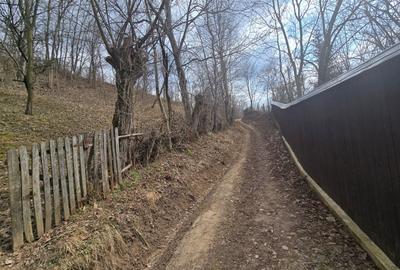 Teren Construcții intravilan de 3485 mp, în Cerașu - 5